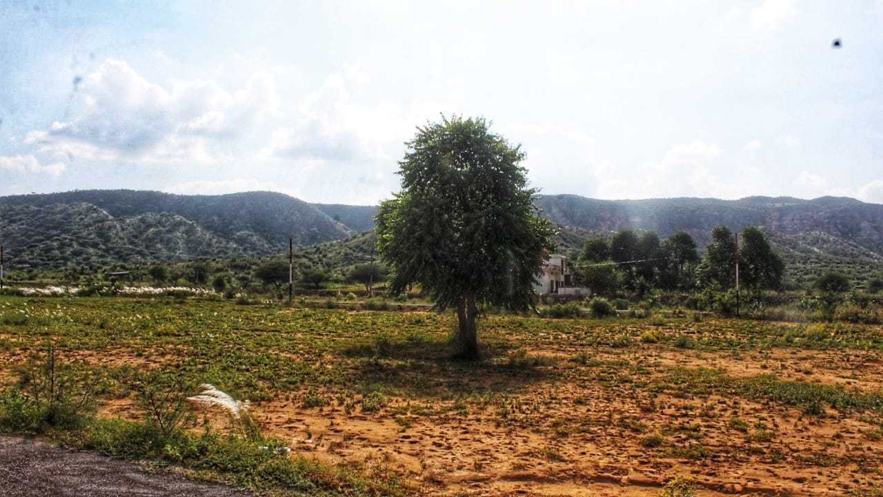 Triveni City Phase-I - Residential plot image 4 in Shahpura